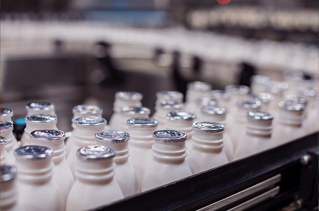 Sealed plastic milk bottles on a conveyor belt 